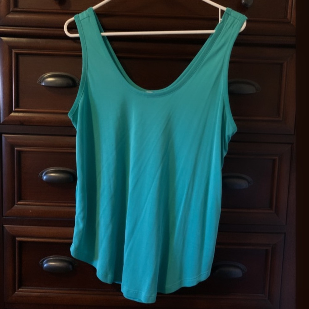 Naked Zebra Teal Top